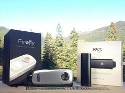 Firefly vs Pax Vape Review
