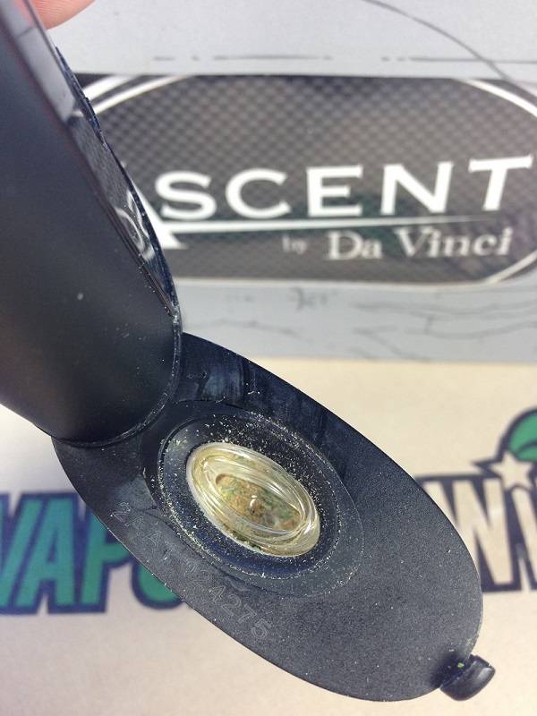 Davinci Ascent Half Pack