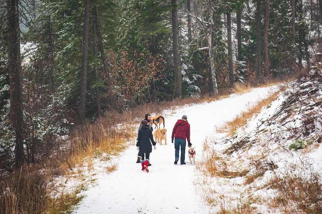 Crafty Plus Hiking in the Snow - VaporizerWizard