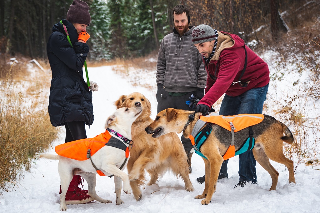Hiking with the Crafty Vaporizer