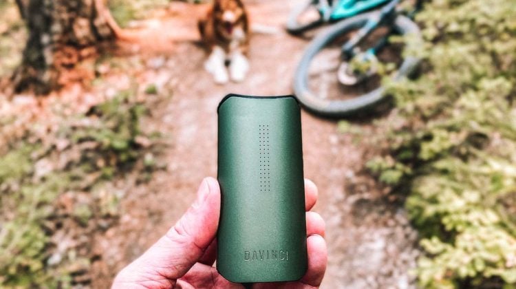 Davinci IQC Vaporizer Review